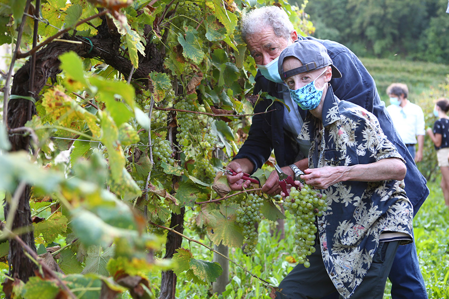 La vendemmia solidale di Le Manzane ha visto la partecipazione di Sammy Basso
