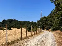 Peste suina: Regione Lombardia recinta parte dei confini per arginare il fenomeno