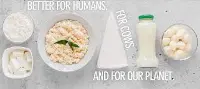 Remilk proteina vegetale