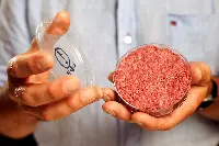 Carne di laboratorio