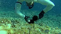 Pesca subacquea di ricci di mare