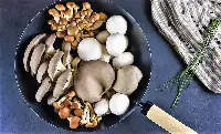 Funghi coltivati