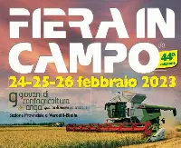 Fiera in campo