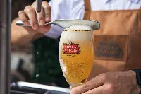 Stella Artois