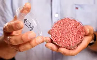 Carne sintetica