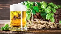Birra e prodotti brassicoli