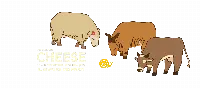 Cheese, dal 15 al 18 settembre a Bra (Cuneo)