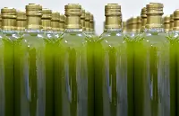 Bottiglie di olio
