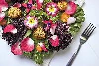 Dalle serre foglie e fiori commestibili, intramontabile moda dei grandi chef