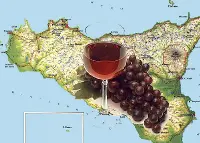 Sicilia vino