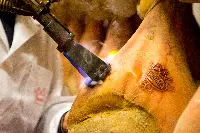 Prosciutto di Parma, marchiatura