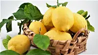 Limoni italiani