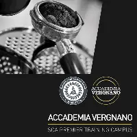 Accademia Vergnano