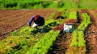 giovani e agricoltura