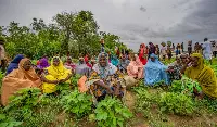 Donne africane