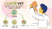 LampoVet