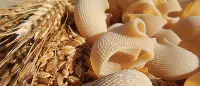 Pasta e grano