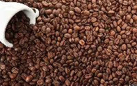 chicchi caffè