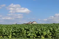 Fattoria in Pennsylvania