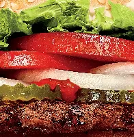 Panino Burger King