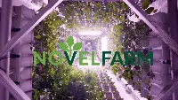 NovelFarm 2023