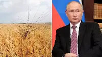 Il leader russo Vladimir Putin