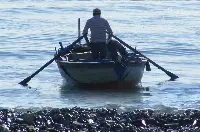 pesca