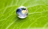 Chep Italia, sustainability review