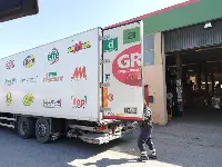 Distribuzione Gros