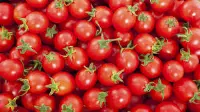Pomodori