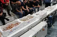 Asta del pesce di Fiumicino