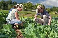 Giovani agricoltori