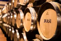 Masi, Istituto grandi marchi
