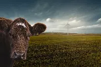 Riscaldamento globale
