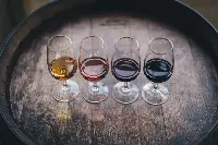 Wine Trends 2022