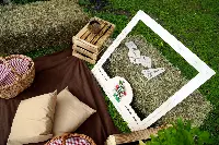 “Aria di San Daniele Pic-nic”, kermesse enogastronomica promossa dal Consorzio Prosciutto San Daniele, farà tappa in tre location d’Italia: Roma, Milano e Torino