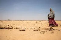 Carestia in Etiopia