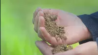 Agricoltura rigenerativa