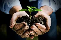 Agricoltura e sostenibilità