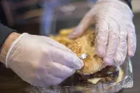 cibo sintetico