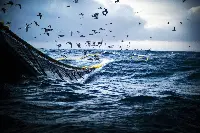 Blue Economy, opportunità di sviluppo sostenibile per i territori
