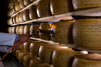 Marchiatura Grana Padano