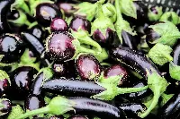 Melanzane