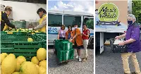 IFCO_donations_2020