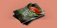 11th Sustainability Report Ferrero