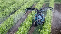 Irrorazione fitosanitaria su un vigneto