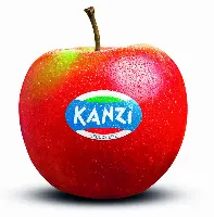 Mela Kanzi
