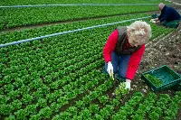 Confagricoltura dalla parte dell'imprenditoria femminile