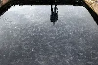 Acquacoltura