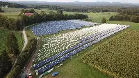 Impianto agrivoltaico in una foto d'archivio